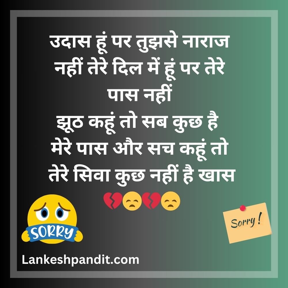 Sorry Naraz Shayari in Hindi