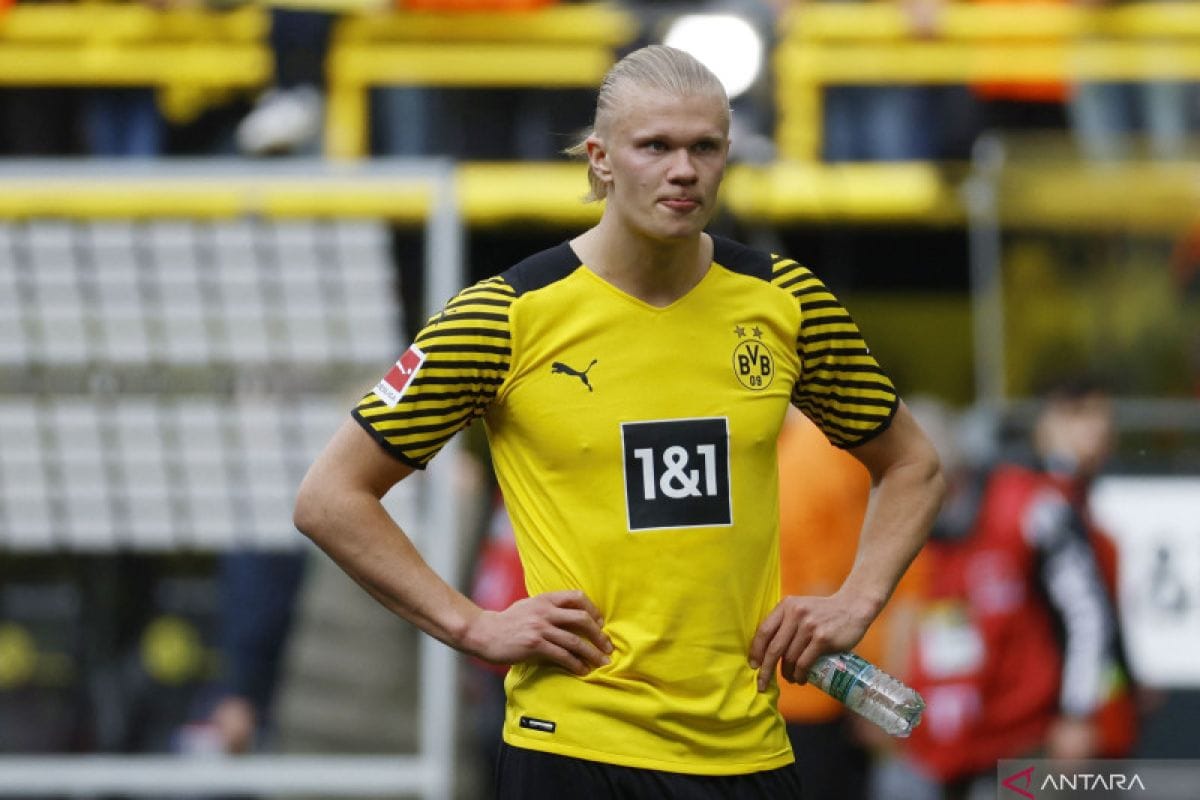 Erling Haaland - Top Successful Striker in Europe